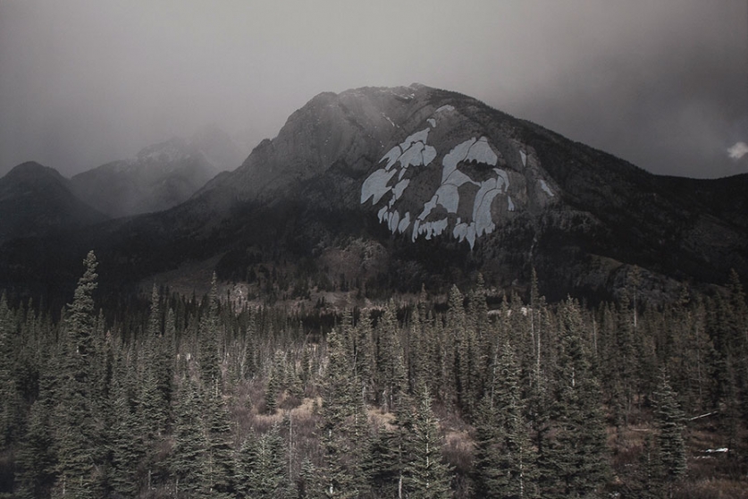 https://zoelf.mirunadragan.com/files/gimgs/th-12_Dragan08_TheMountainsAreMirrors3-web.jpg