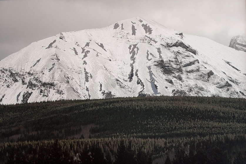 https://zoelf.mirunadragan.com/files/gimgs/th-12_Dragan06_TheMountainsAreMirrors1-web.jpg