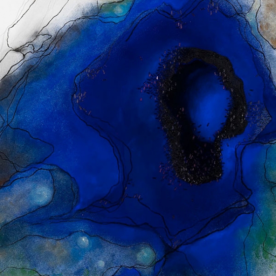 https://zoelf.mirunadragan.com/files/gimgs/th-23_Erratics-Draw2-detail-web_v2.jpg