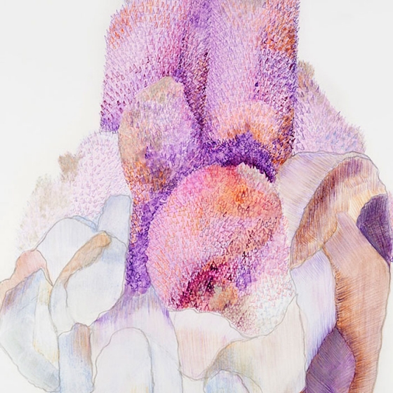 https://zoelf.mirunadragan.com/files/gimgs/th-23_Erratics-Draw3-detail-web_v2.jpg